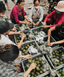 Horizon Vietnam Travel aux côtés des patients de l’Institut d’Hématologie de Hanoï – Action solidaire du 29 octobre 2025