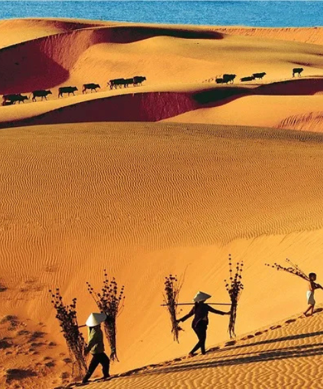 Mui Ne, Vietnam : Guide complet pour un séjour balnéaire et culturel