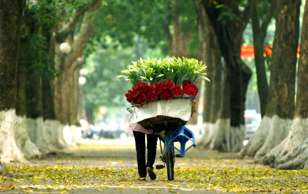Automne à Hanoï, une saison douce et agréable pour visiter la ville