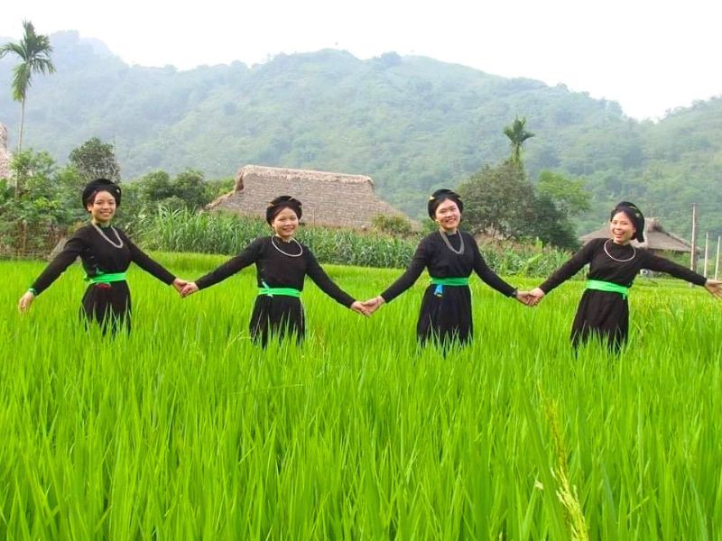 Lam Thuong