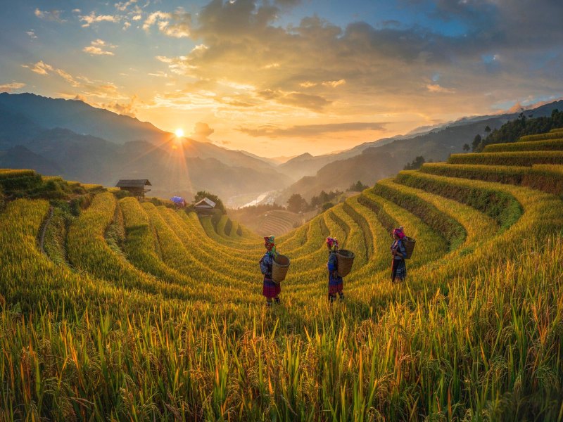 Mu Cang Chai