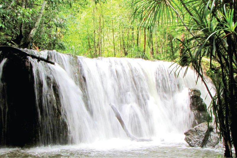 Suoi tranh Phu Quoc