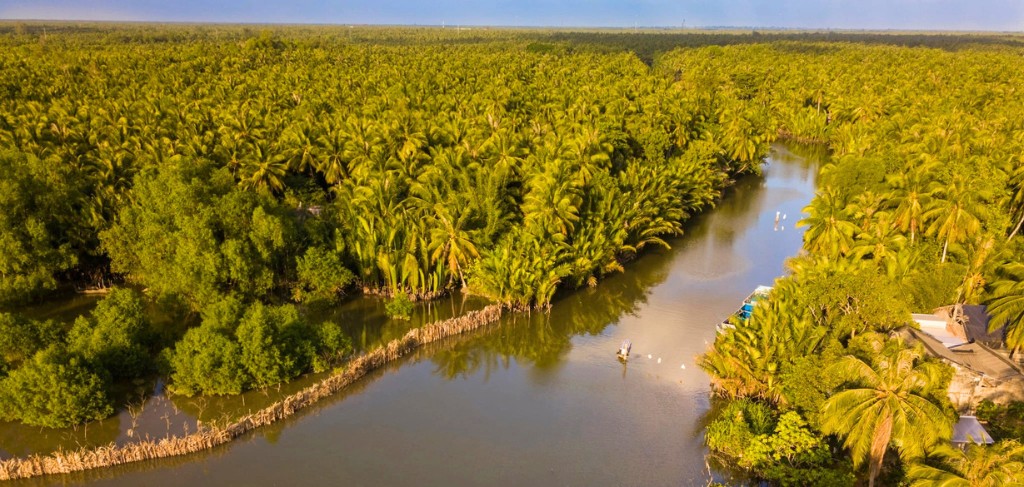 Canaux bordés de cocotiers à Ben Tre, au cœur du delta du Mékong