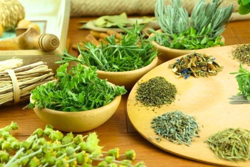 Médecine traditionnelle vietnamienne 3