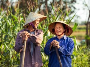 Le chapeau conique vietnamien