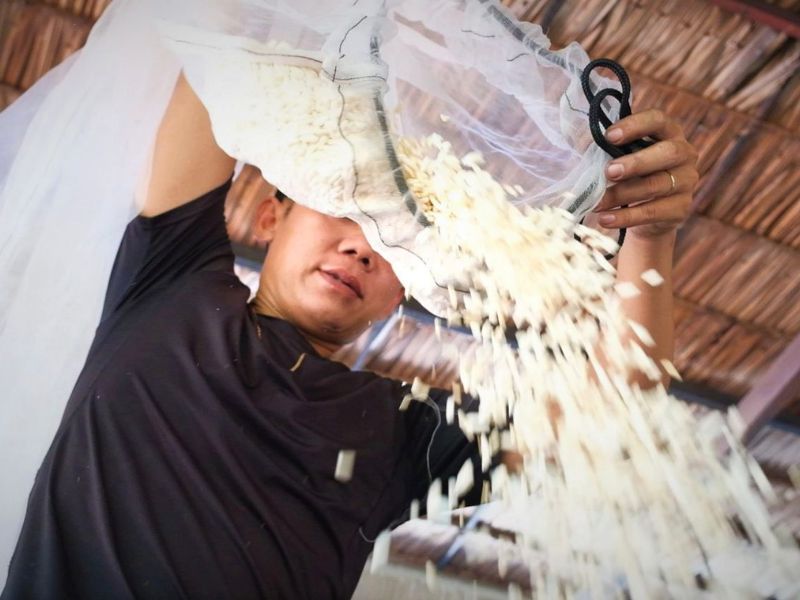 Riz-pop