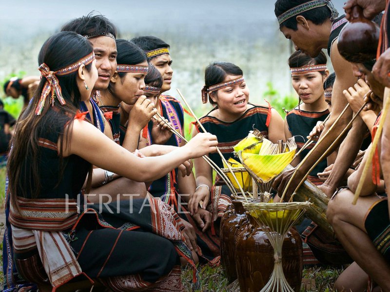 Ruou can, l’alcool traditionnel des Hautes Terres, partagé à la paille lors des fêtes communautaires