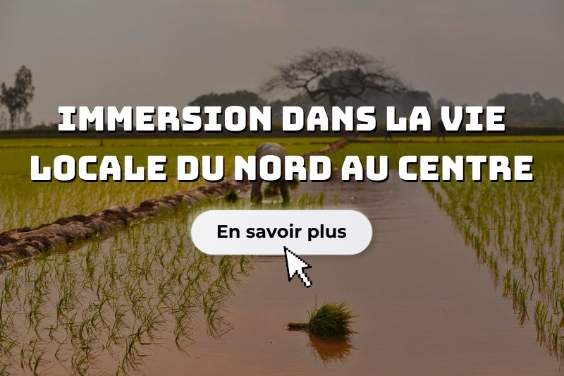 Immersion dans la vie locale du Nord au Centre en 13 jours