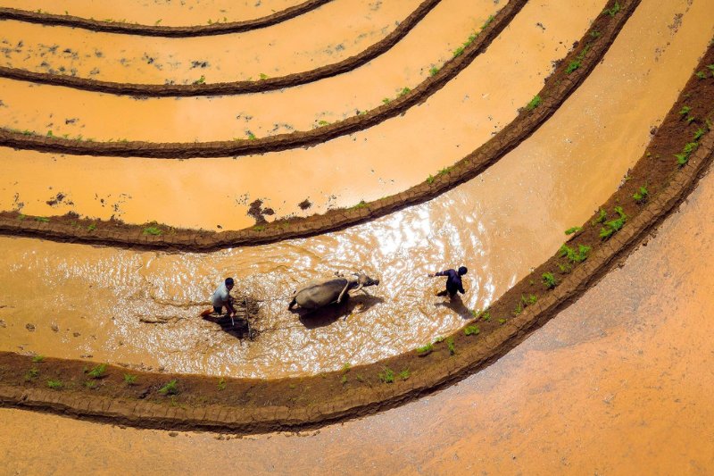 Voyager au Vietnam en février