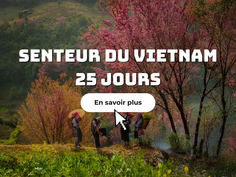 Senteur du Vietnam 25 jours Circuit Horizon Vietnam Voyage au Vietnam