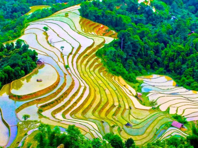 En juin à Hoàng Su Phi, les rizières en eau offrent un spectacle magique