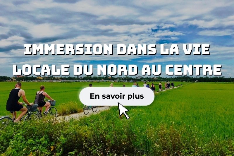 Immersion dans la vie locale du Nord au Centre en 13 jours