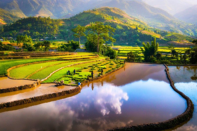 Rizière en terrasse - Vietnam en juin