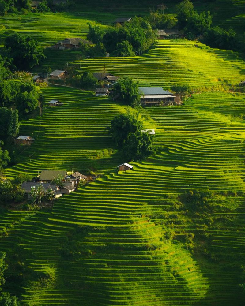 Y Linh Ho Vietnam en avril