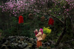 Comment bien organiser un voyage de 11 jours au Vietnam ?