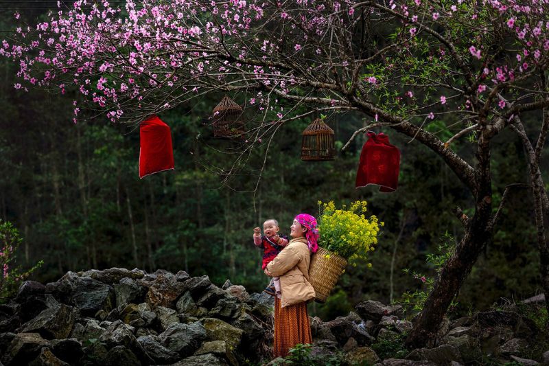 Comment bien organiser un voyage de 11 jours au Vietnam ?