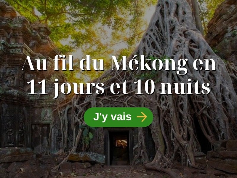 Au fil du Mékong en 11 jours et 10 nuits 11 jours au Vietnam