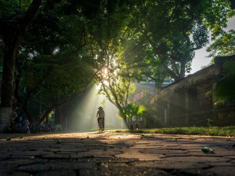 Hanoi s'éveille dans la douceur dorée de l'automne Vietnam en novembre
