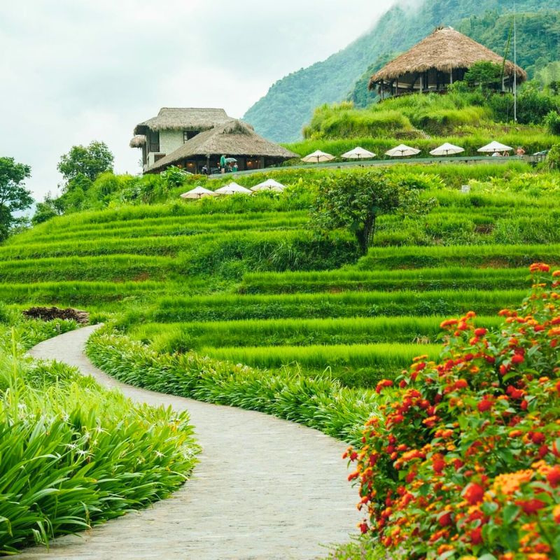 Sapa en juillet, avec les rizières verdoyantes à perte de vue