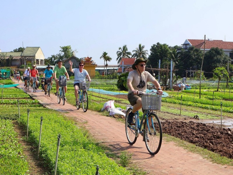 Une balade à vélo à Tra Que pour découvrir un autre visage de Hoi An