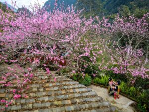 Vietnam en 10 jours: Guide complet pour organiser votre voyage