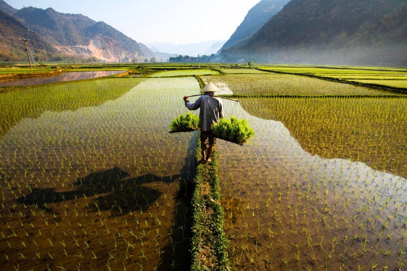 Vietnam en 17 jours: Checklist complète avant le départ