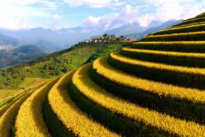 Voyage au Vietnam en 19 jours: Itinéraire détaillé et guide complet