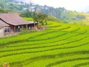 Vietnam en Juillet : Guide complet de voyage en saison des pluies
