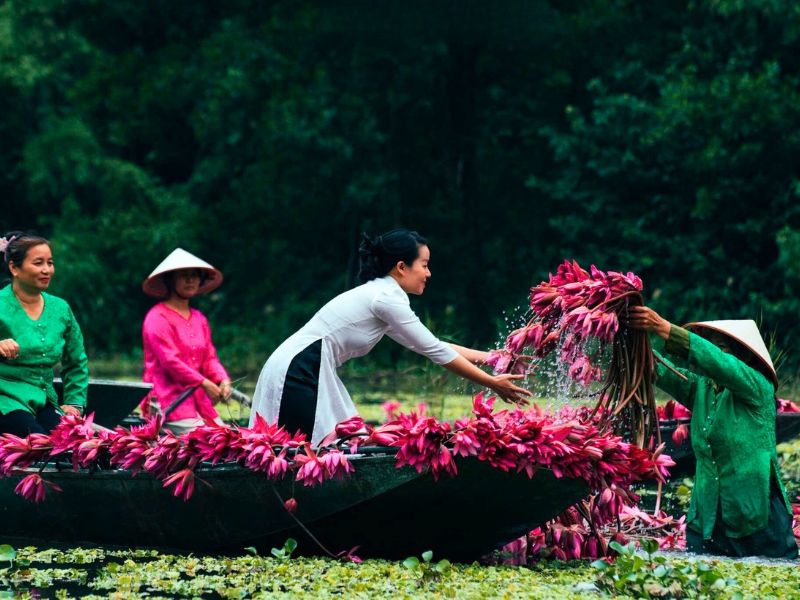 Vietnam en décembre: Climat, Attractions et Conseils pratiques