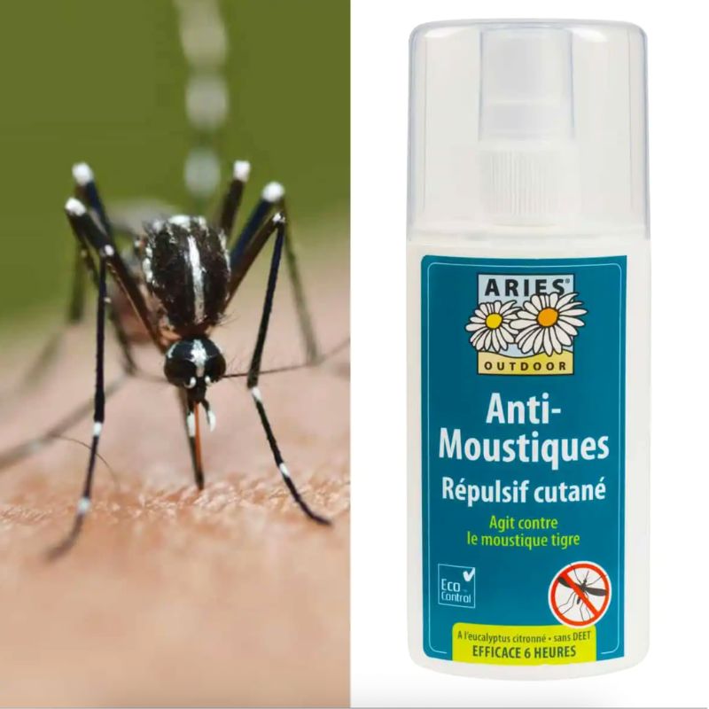 Le Vietnam, un pays tropical, où l'anti-moustiques n'est pas indispensable