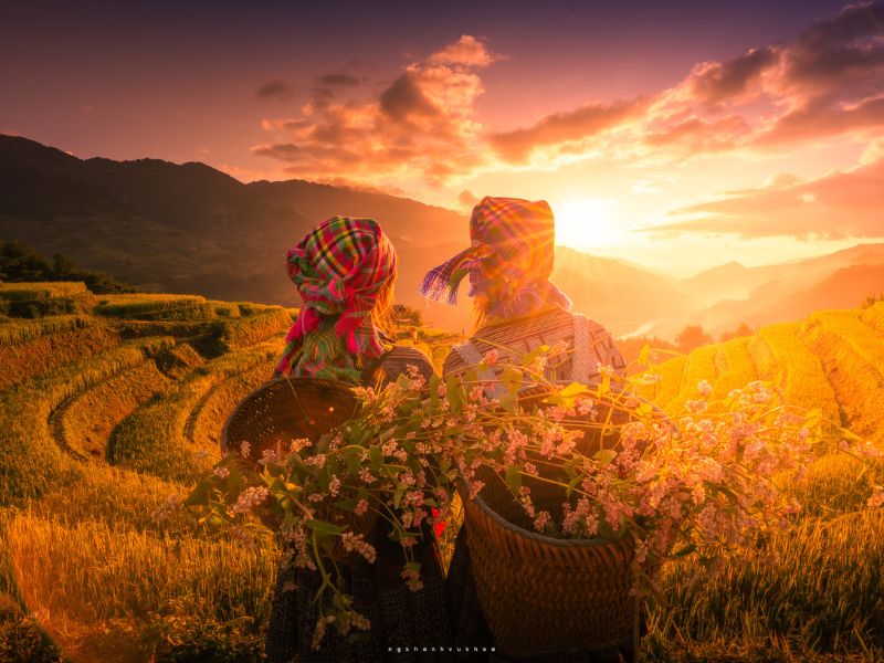 Mu Cang Chai 2