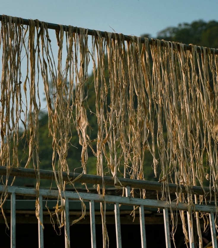 Village de papier Dia Tren
