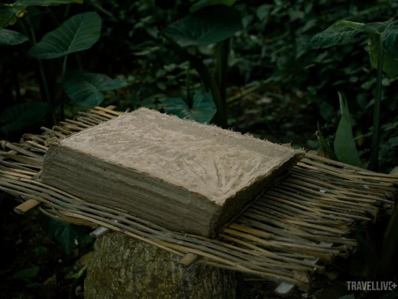 Village de Dia Tren Horizon Vietnam Travel