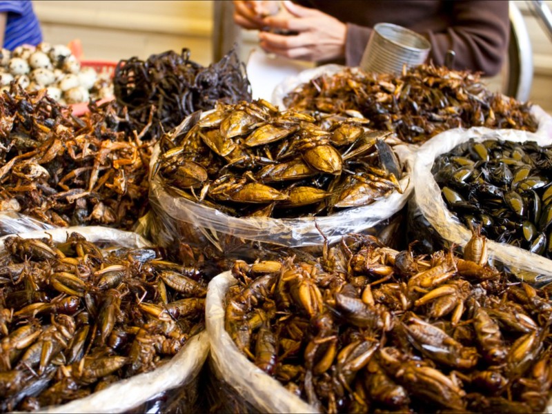 Les plats à base d’insectes au Laos, une spécialité surprenante pour les voyageurs curieux