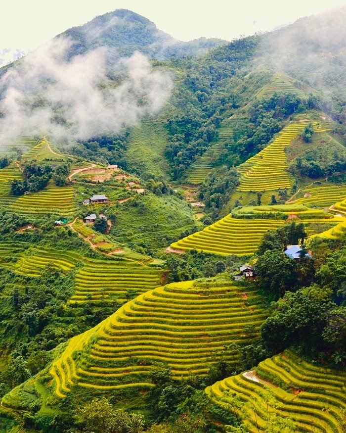 Bản Luốc Hoang Su Phii