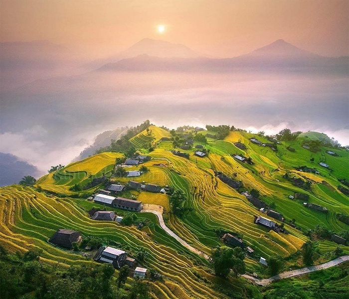 Ban Phung Hoang Su Phi