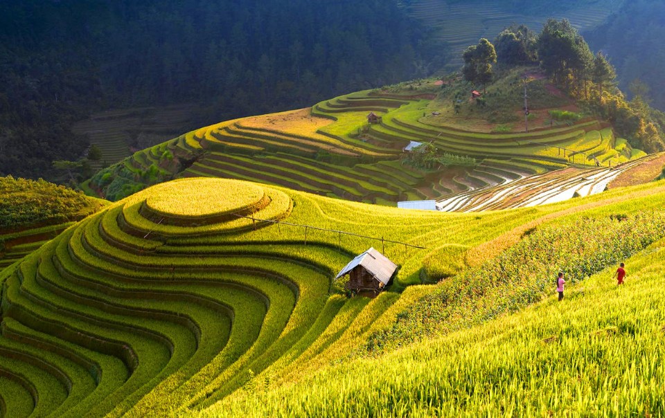 Ho Thau Hoang Su Phi