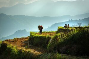 Guide des rizières de Hoang Su Phi à Hà Giang