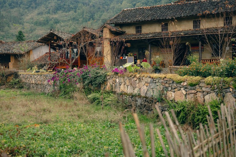 Lolo chai