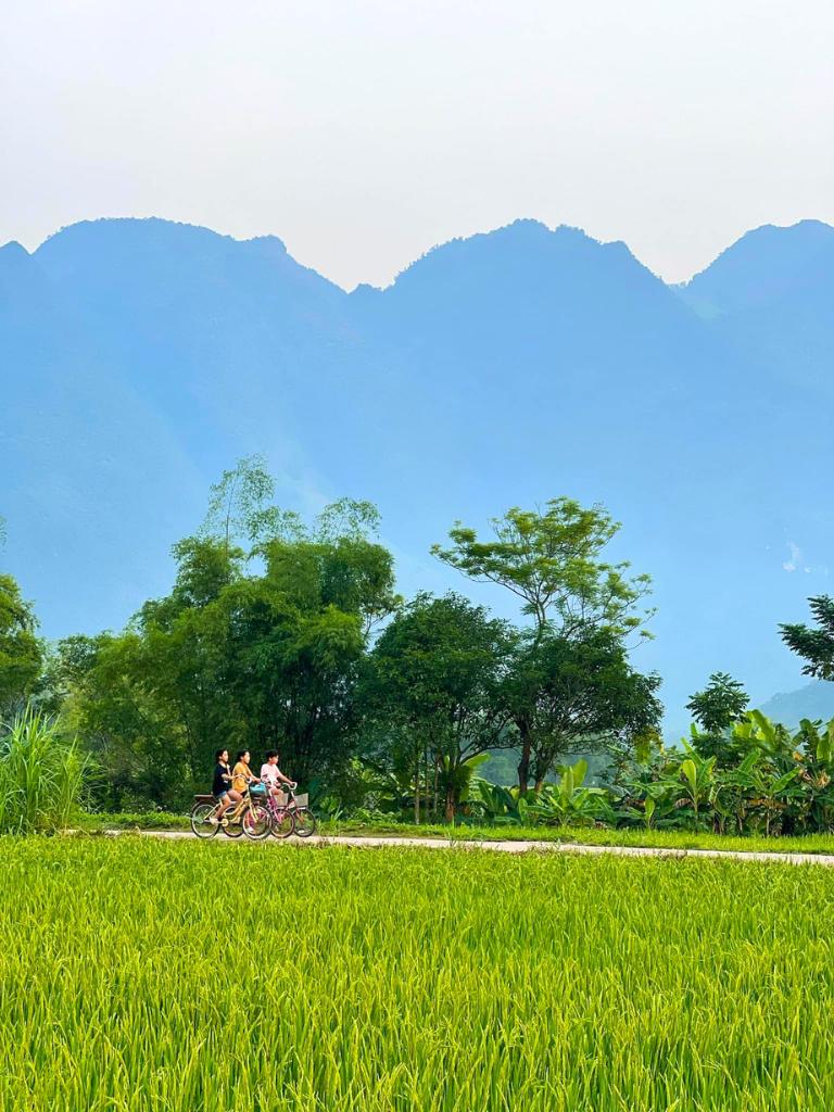 Mai Chau