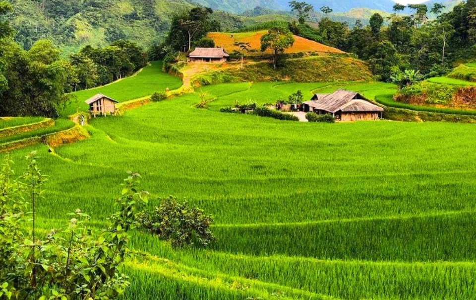 Nam Ty Hoang Su Phi