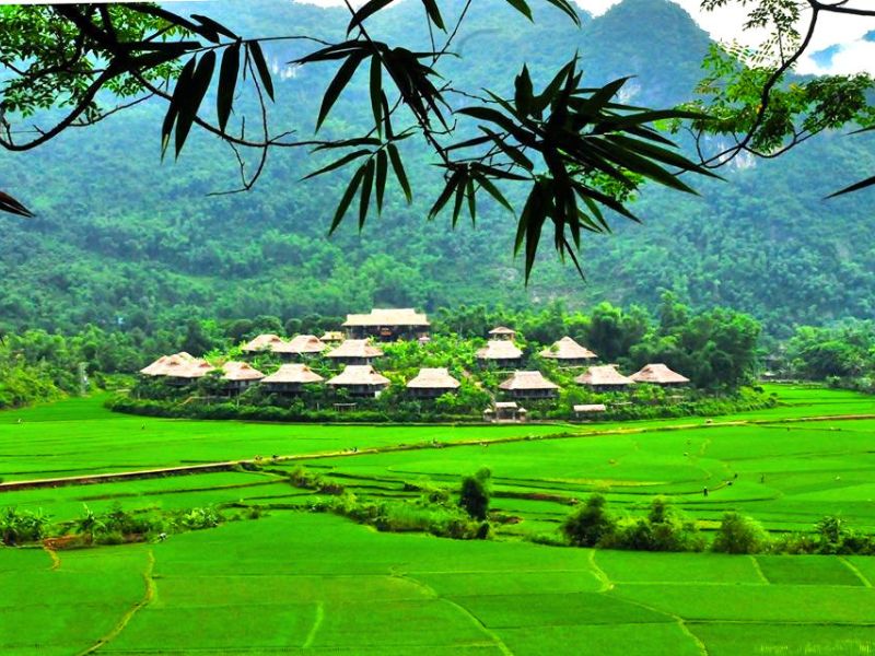 Pom Coong