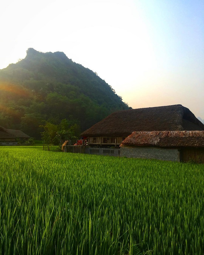 Thon Tha