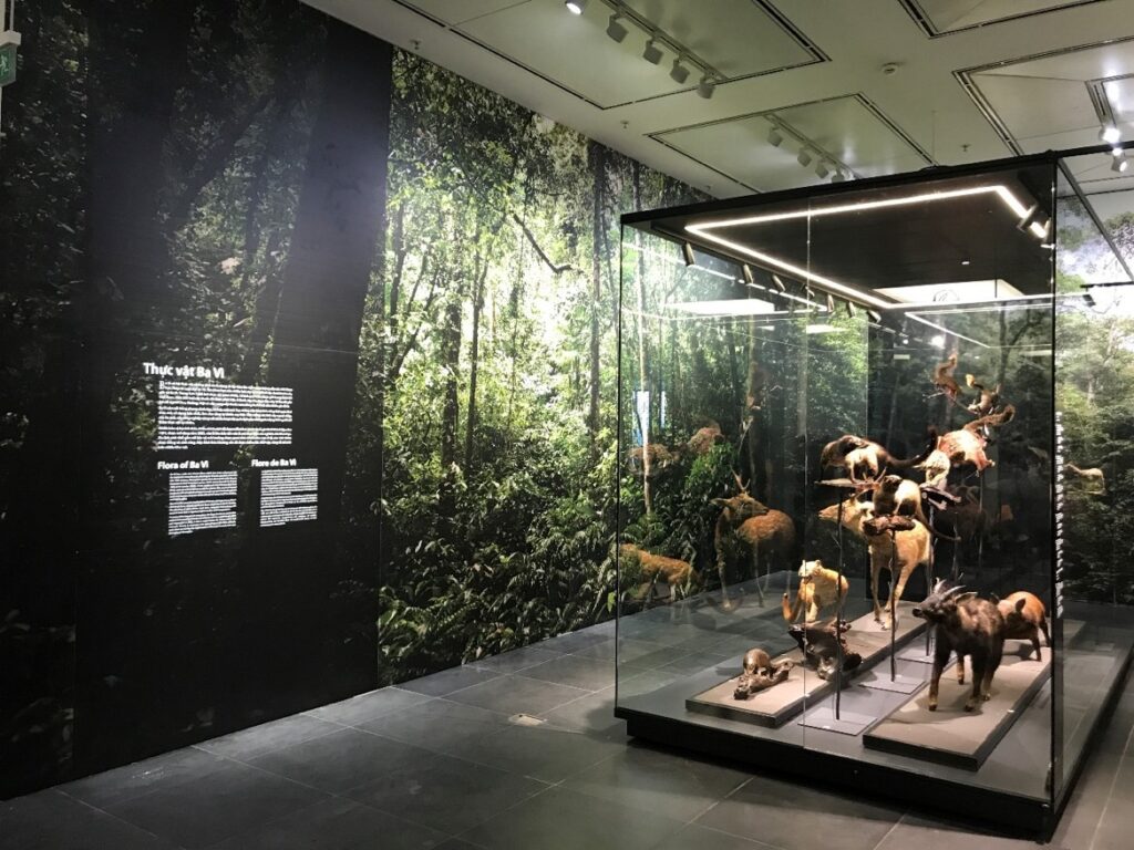 Exposition Thiên nhiên - Nature - Musée de Hanoi
