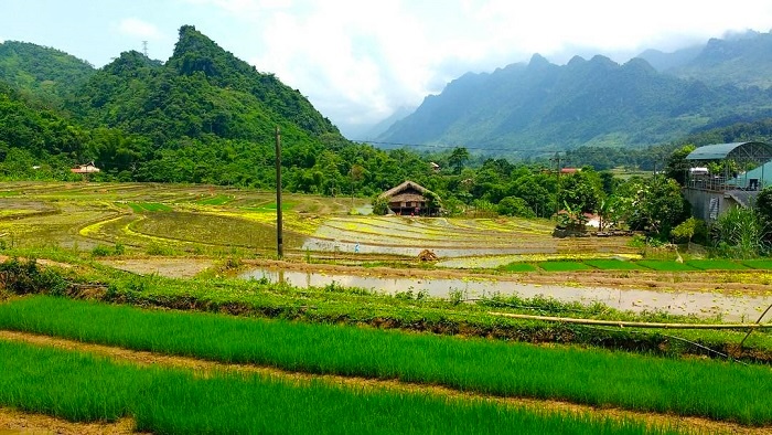 Découvrir Thôn Tha, village Tay du Nord Vietnam