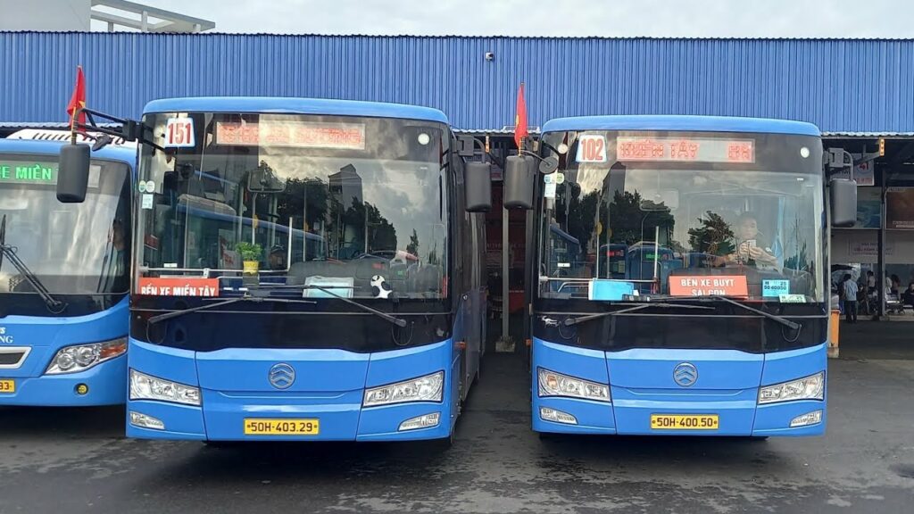 Bus HCMV