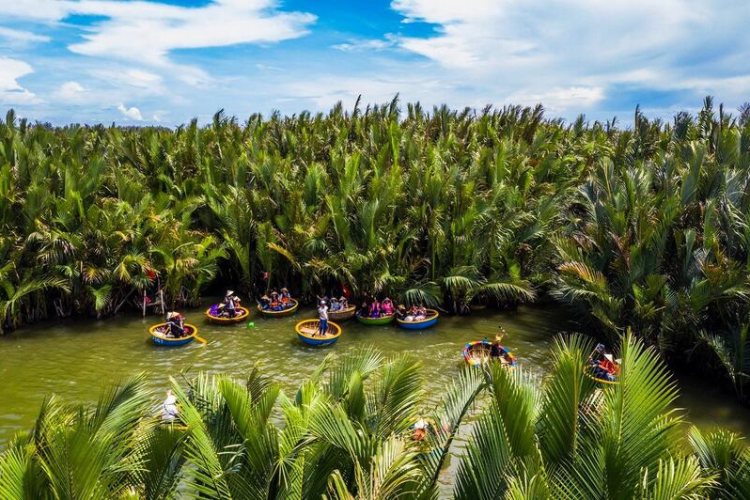 Forêt de cocotiers de Bay Mau 