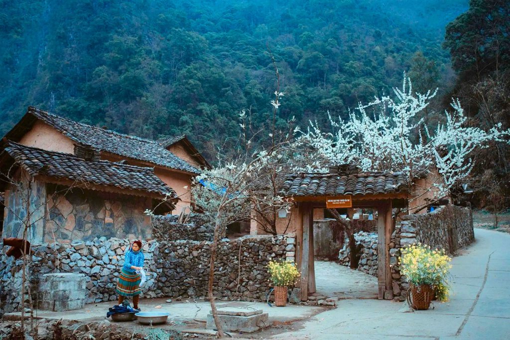 Maison de Pao