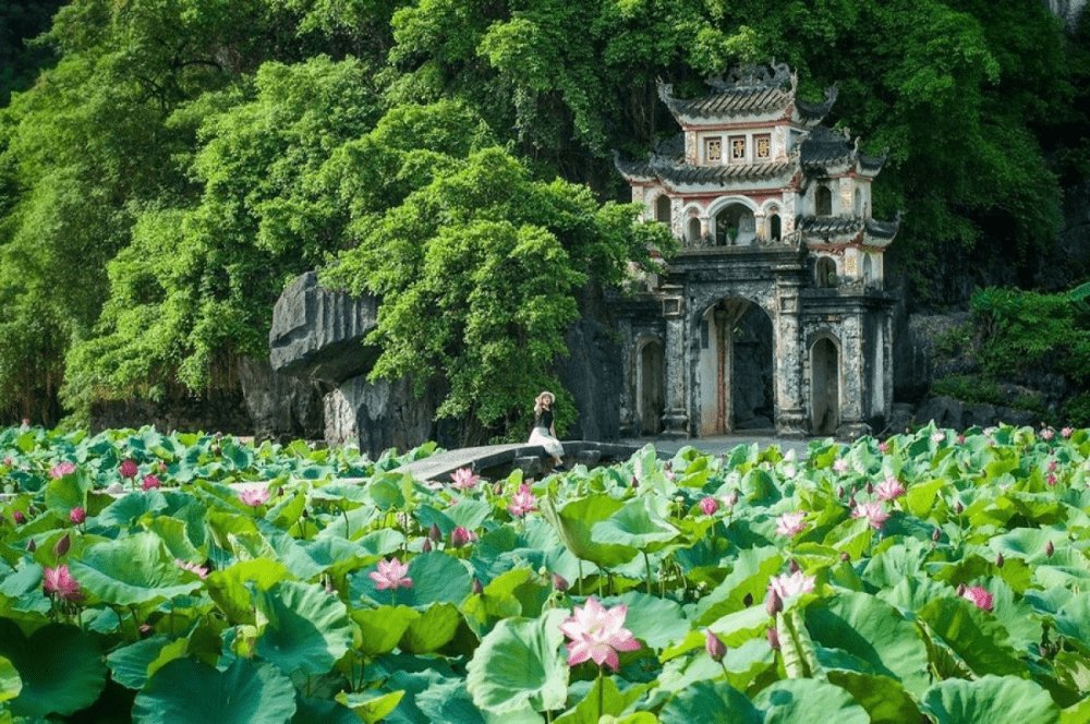 Pagode de Bich Dong à flanc de montagne, Ninh Binh