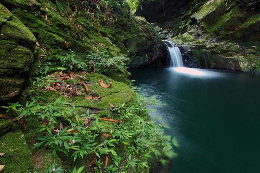 Sentier des Cinq Lacs (Ngu Ho) au parc national de Bach Ma